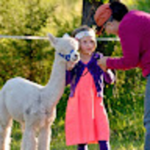 Meet your Posher, Clarissa - Picture 1 of 1